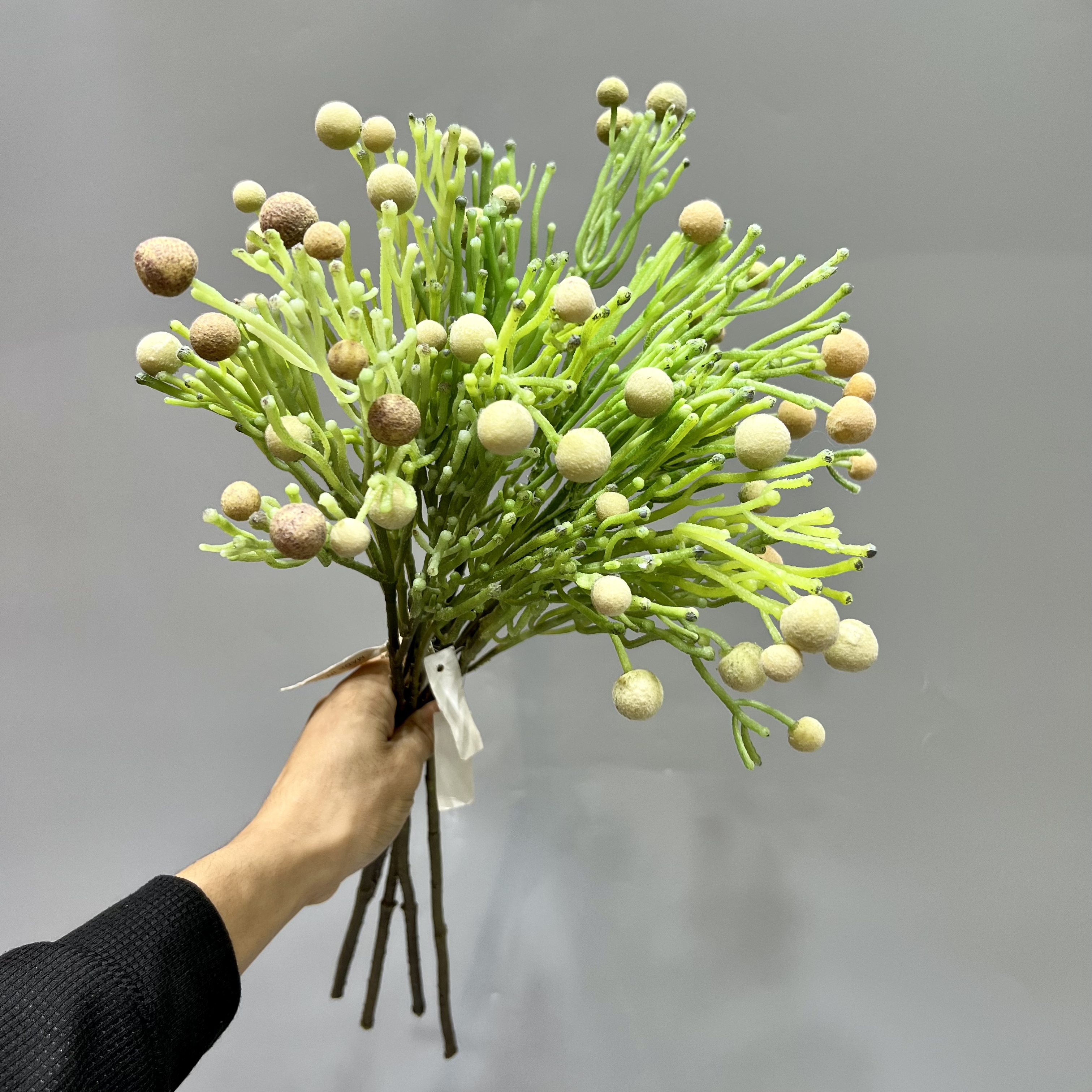 Simulación fruta de plástico fruta de invierno flor falsa fruta decoración de sala de estar pieza de exhibición fotografía paisaje al aire libre colocación de vegetación details Picture