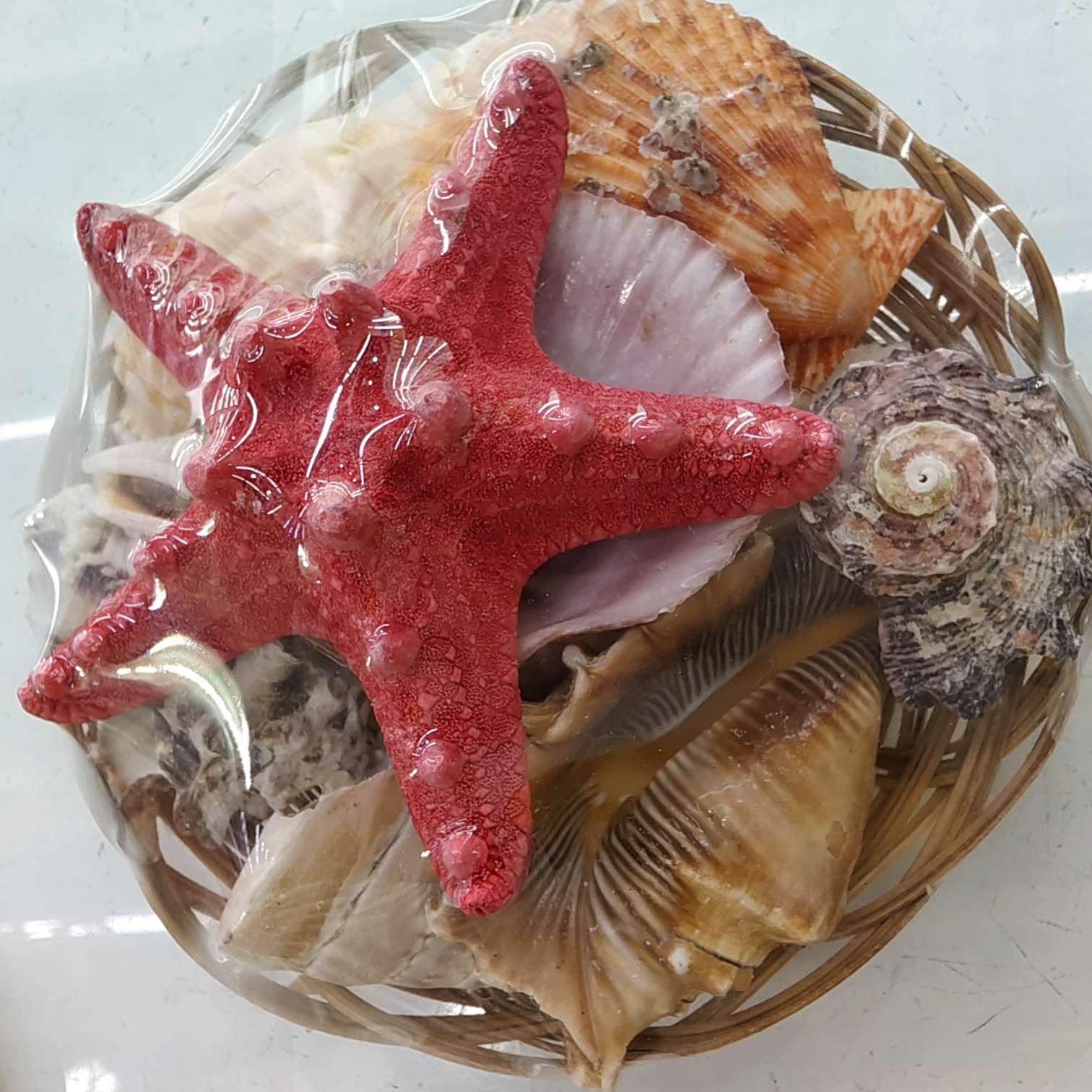 研学海螺贝壳篮子海星鱼缸造景装饰摆件，贝壳批发工艺品材料配件产品图