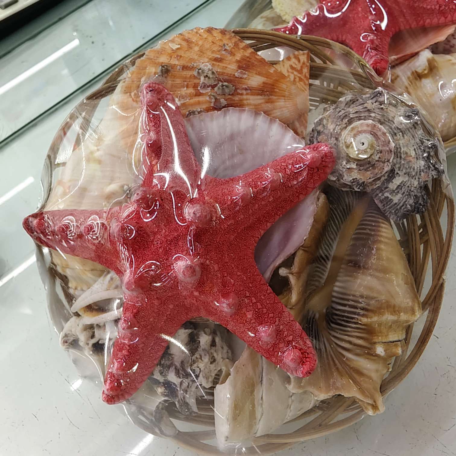研学海螺贝壳篮子海星鱼缸造景装饰摆件，贝壳批发工艺品材料配件