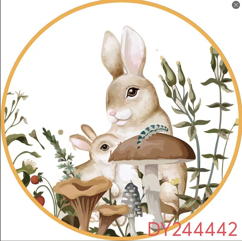 PP塑料片实物图