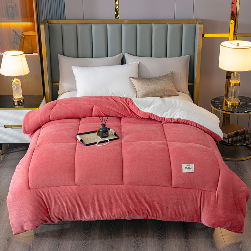 New cross-border e-commerce bestsellers for Spring/Summer 2025, new milk fleece and lamb fleece warm and thick winter quilt with milk Item Picture