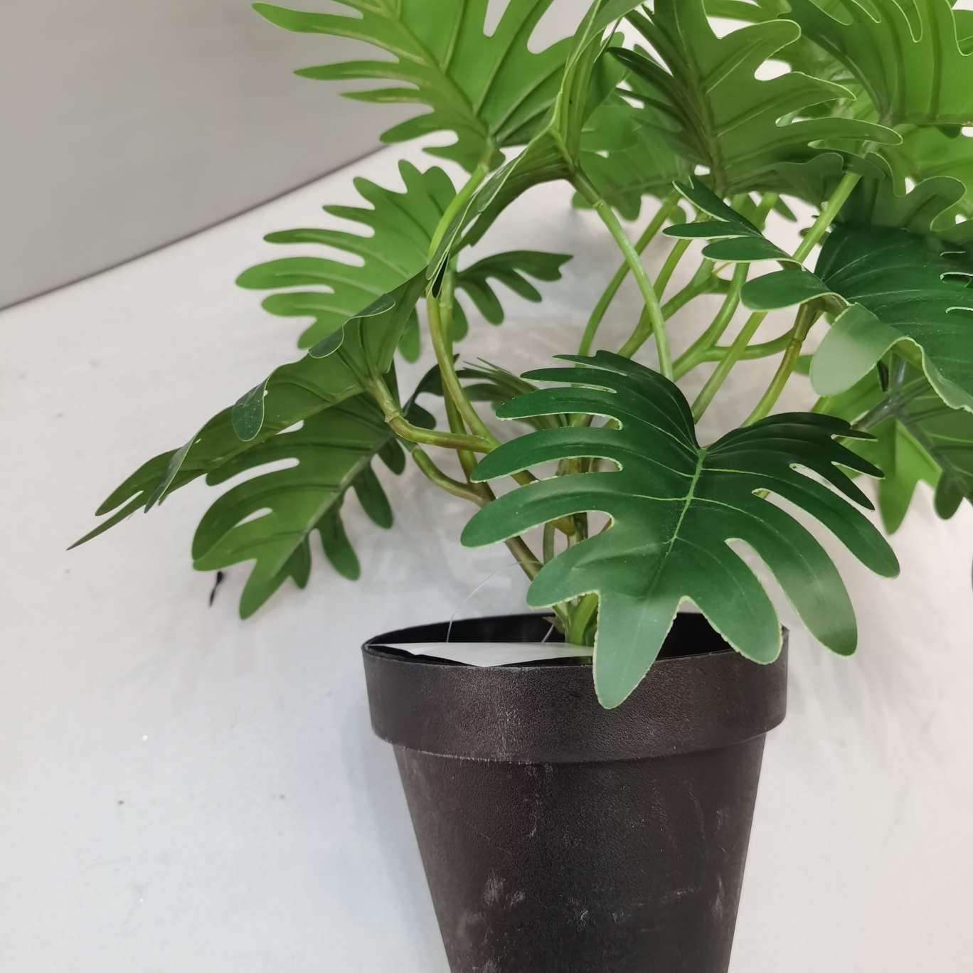 Tianhao Craft Application Scenario