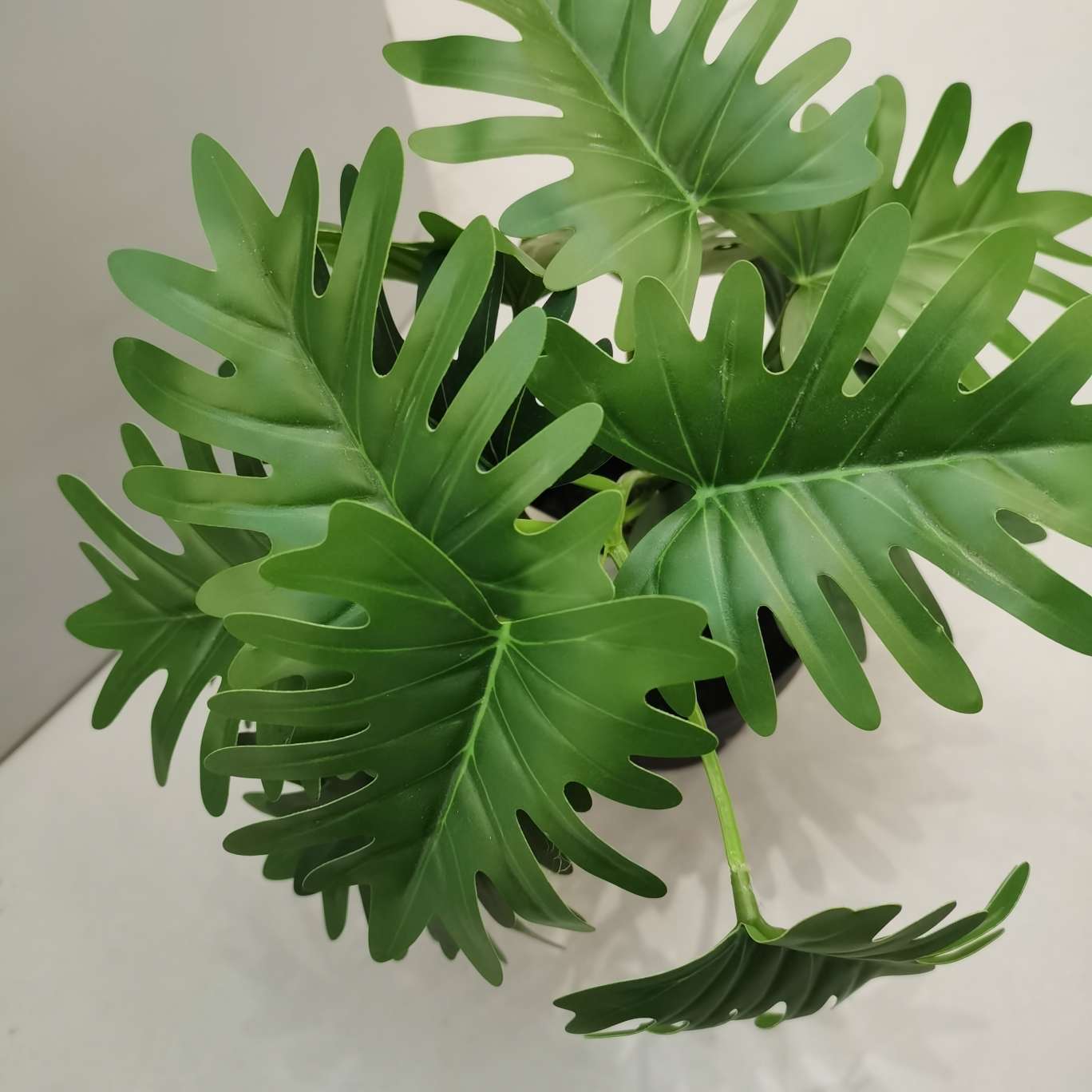 Tianhao Item Picture