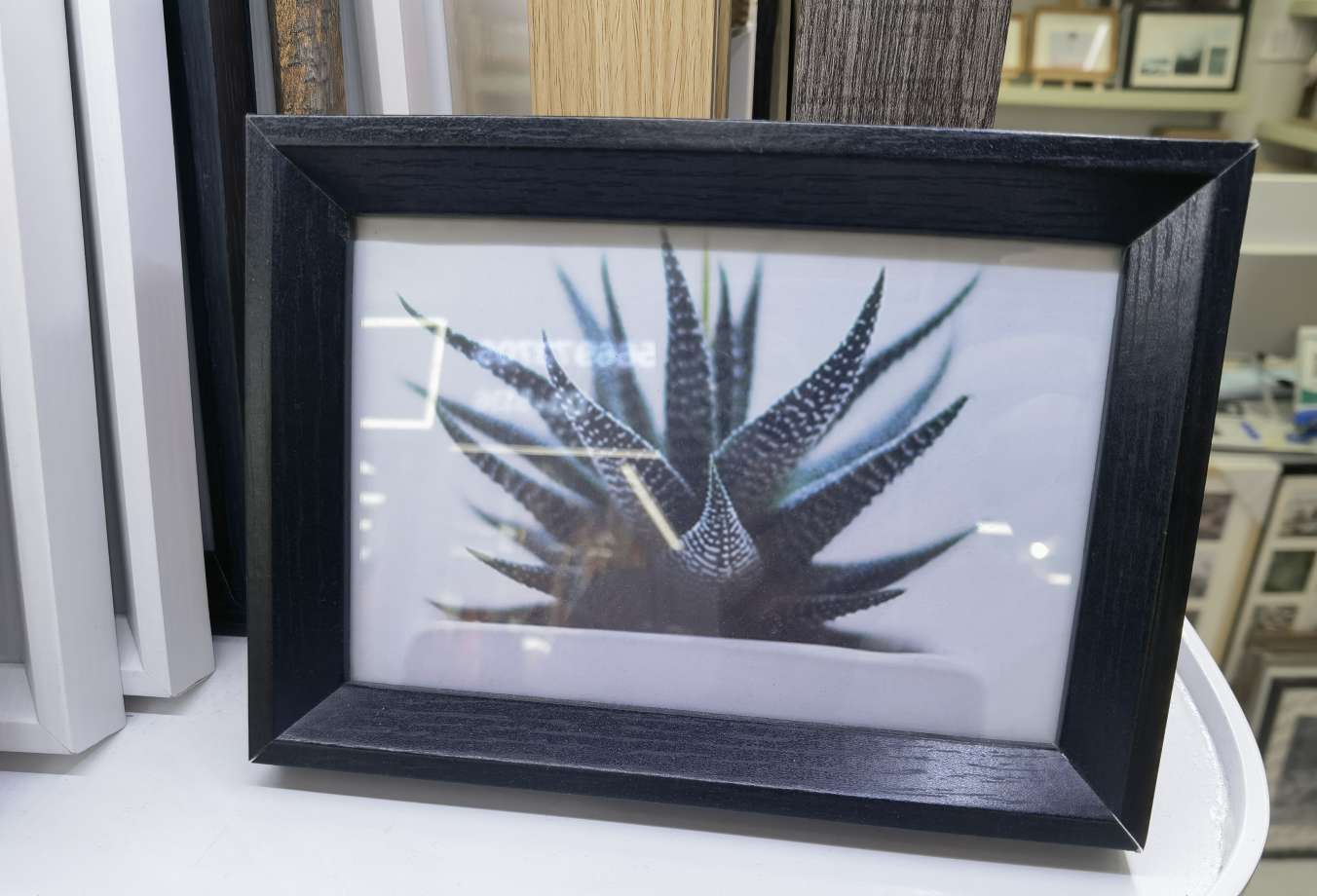 相框、画框实物图