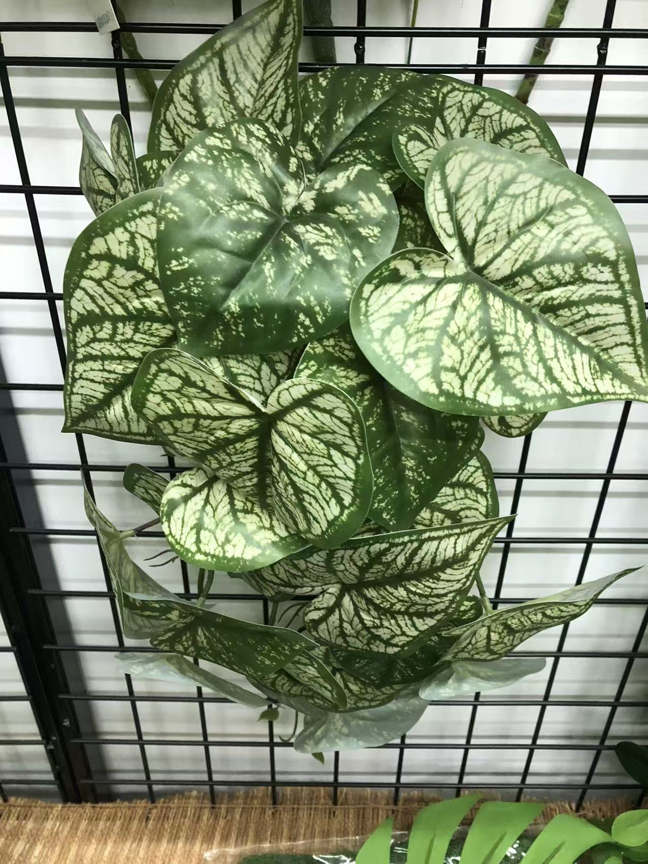 高仿真手感爱心叶竹芋叶酒店餐厅摆放叶子景观绿植挂上绿植