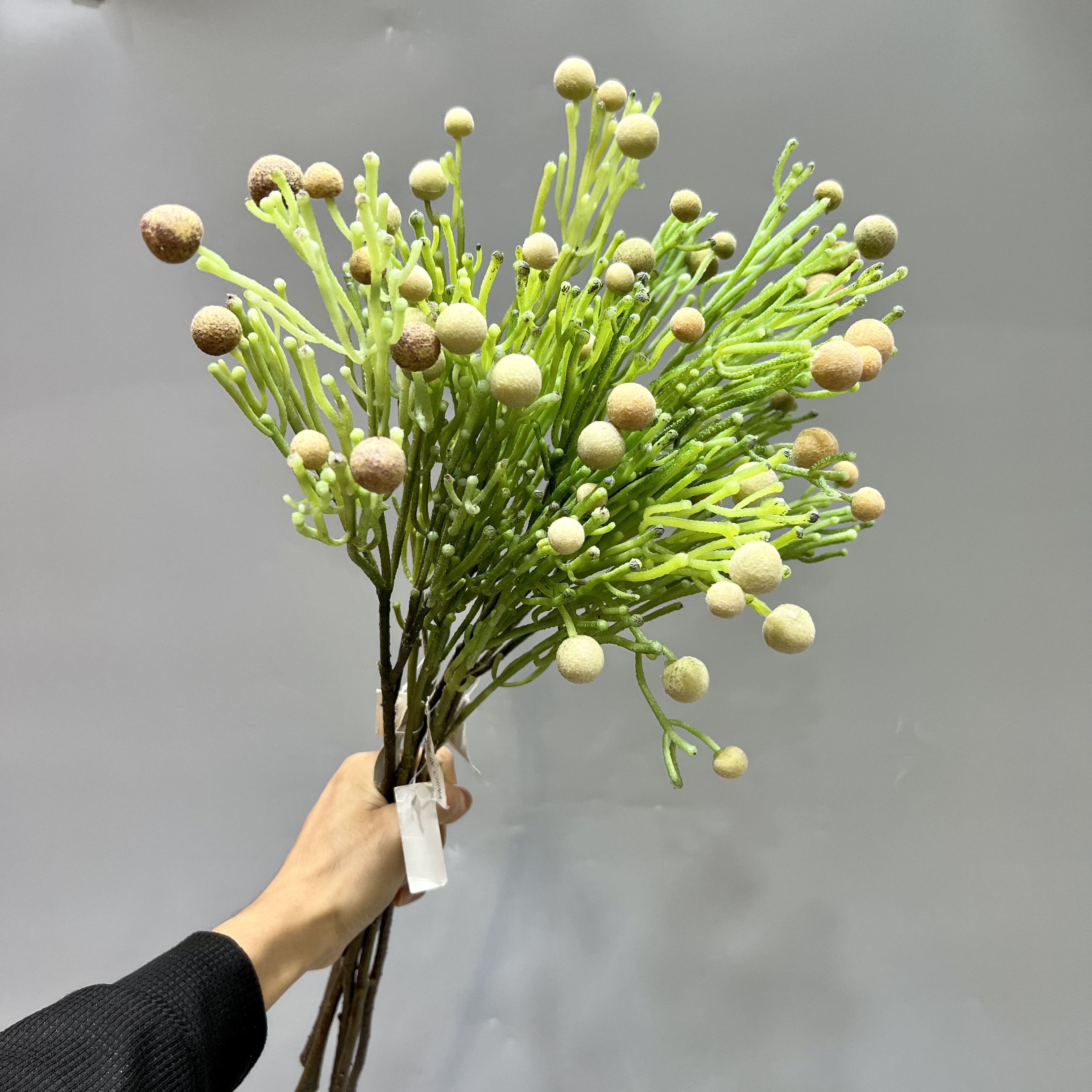 Simulación fruta de plástico fruta de invierno flor falsa fruta decoración de sala de estar pieza de exhibición fotografía paisaje al aire libre colocación de vegetación Specification image