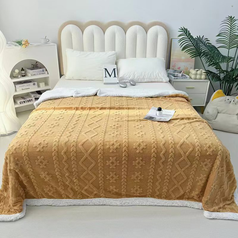 Cross-border export of the 2025 new high-weight double-layer thickened Taff velvet blanket, double-sided velvet cover blanket and sofa blanket pic 9