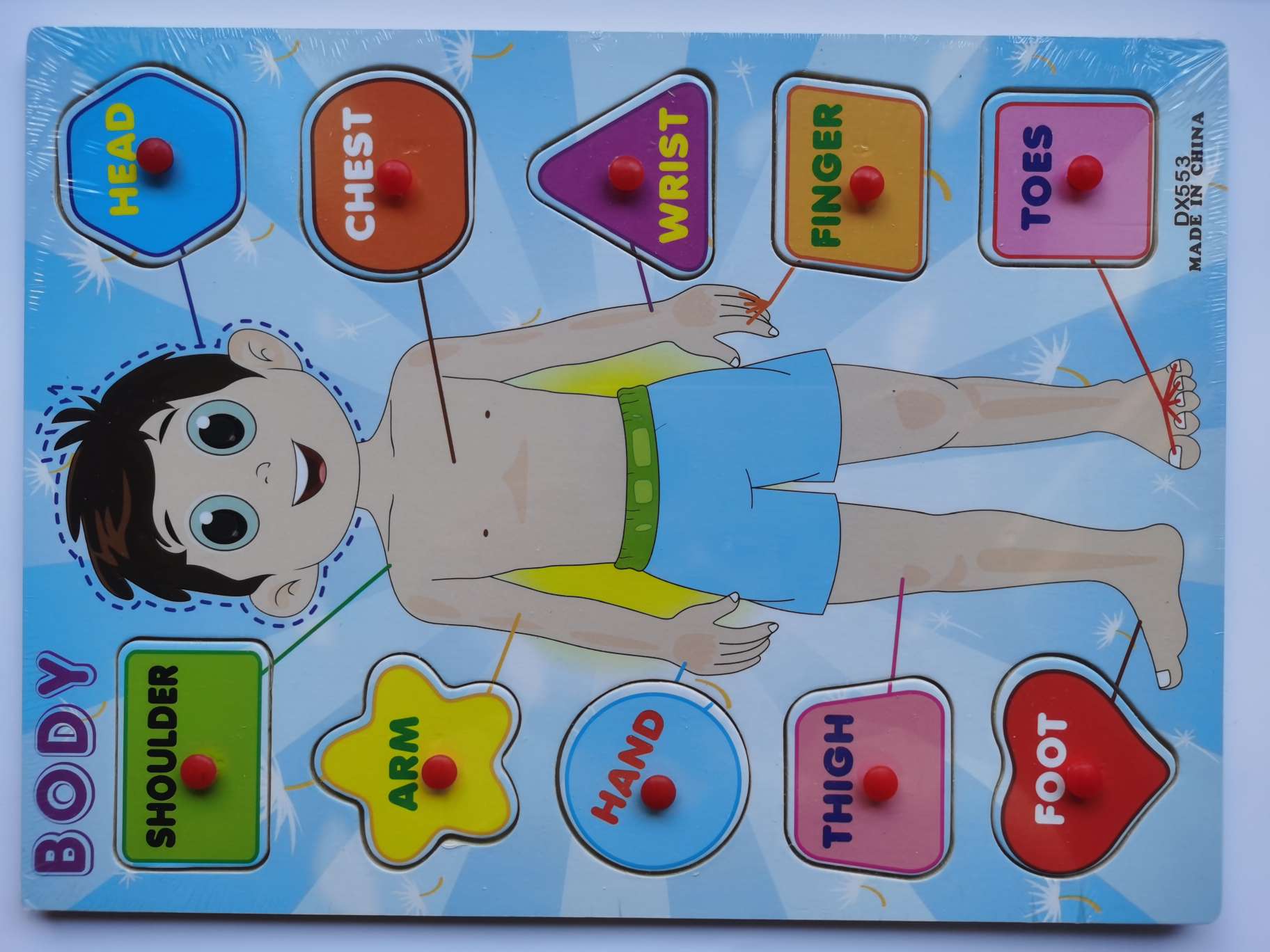 Wooden hand-grabbed board educational toys, children's jigsaw puzzle board, cartoon three-dimensional jigsaw puzzle assembly, fun educational games, suitable for children's learning toys detail image 14