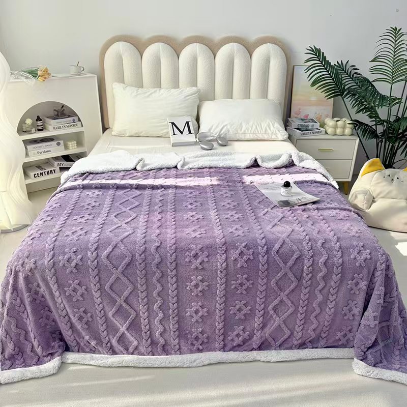 Cross-border export of the 2025 new high-weight double-layer thickened Taff velvet blanket, double-sided velvet cover blanket and sofa blanket pic 5