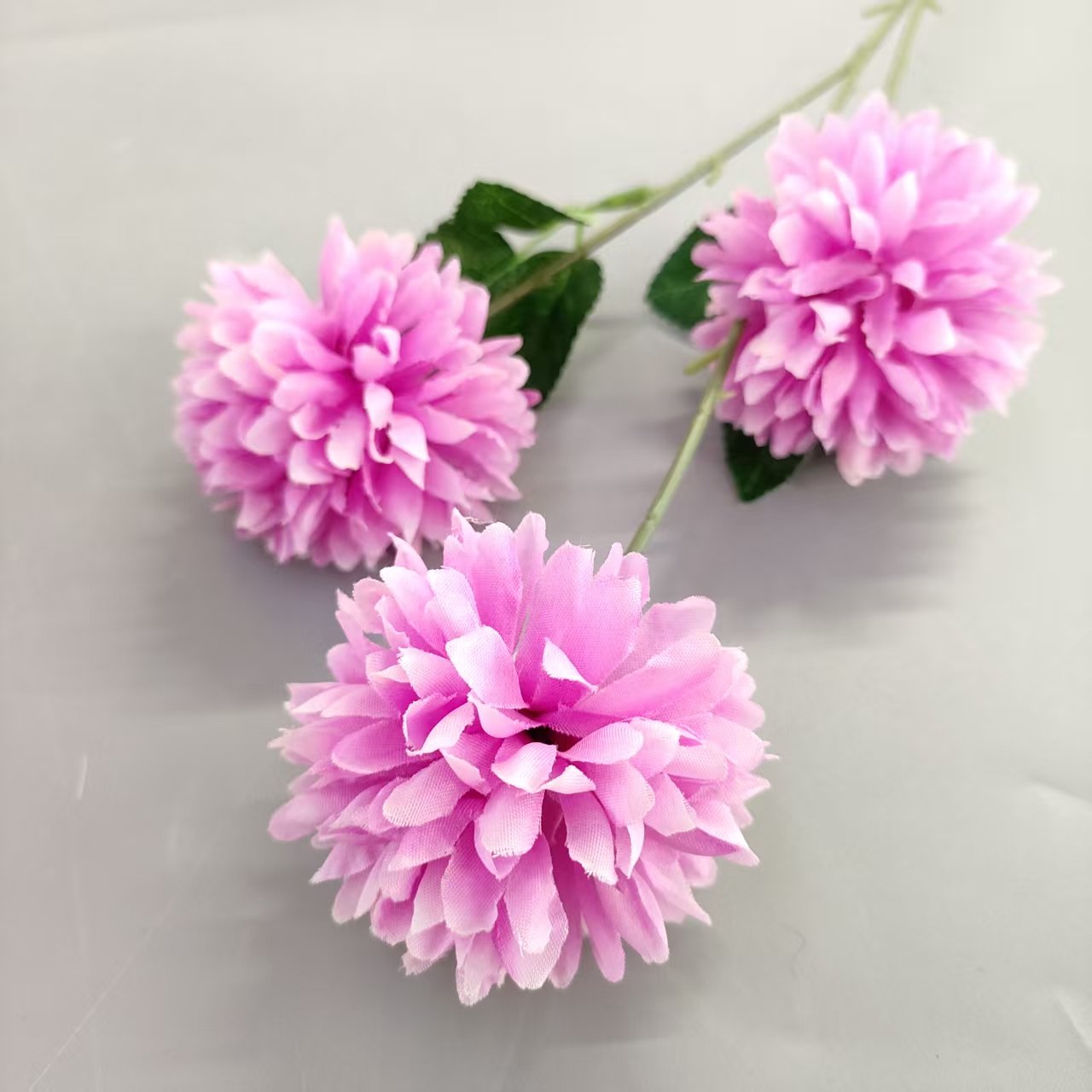 永生花实物图