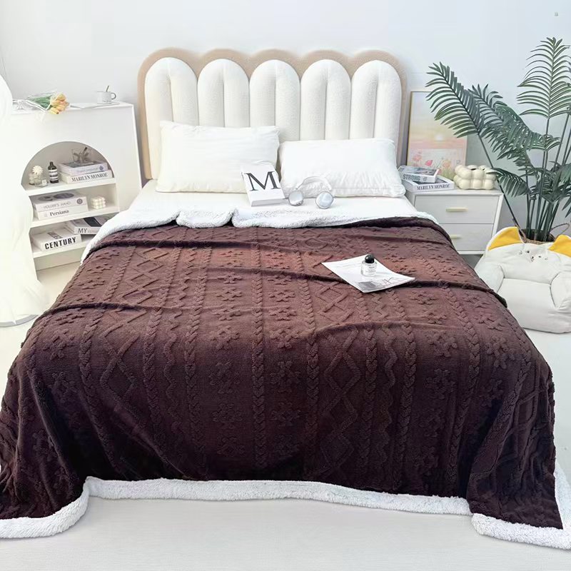 Cross-border export of the 2025 new high-weight double-layer thickened Taff velvet blanket, double-sided velvet cover blanket and sofa blanket pic 4