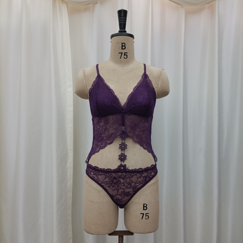 Lace halter sexy jumpsuit underwear underpants one-piece lace corset underwear full lace semi-see-through pajamas Application Scenario