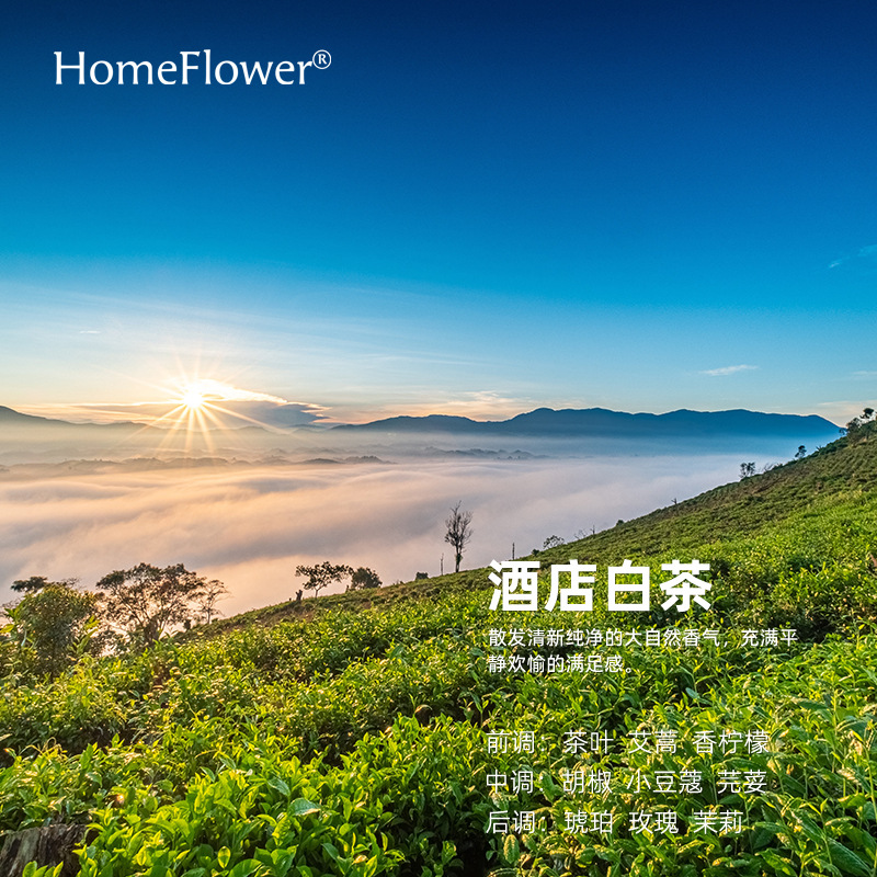 pure solid wood aromatherapy oil expansion fragrant wood decoration small exquisite desktop and car-mounted aroma fragrance perfume diffuser Specification drawing