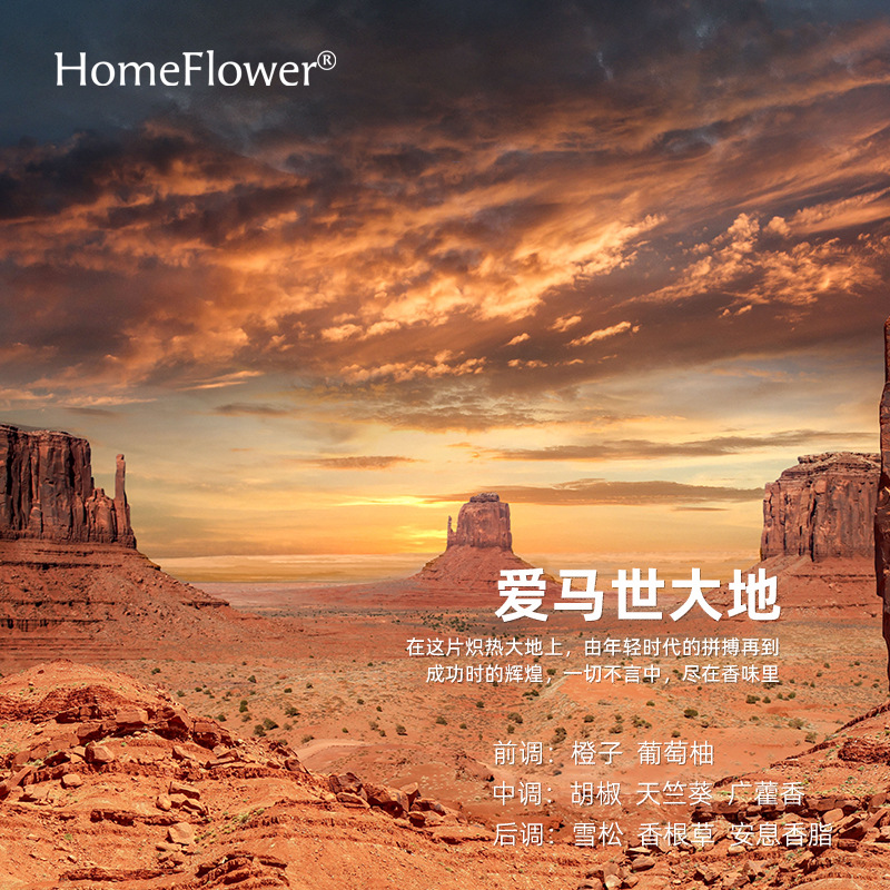 pure solid wood aromatherapy oil expansion fragrant wood decoration small exquisite desktop and car-mounted aroma fragrance perfume diffuser details Picture