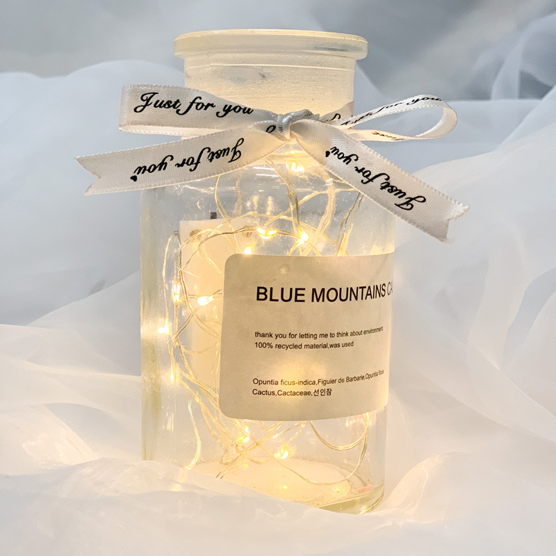 1 m warm led colorful light lighting chain 2 m colorful light starry bouquet decorative light birthday christmas wishing bottle light Application Scenario