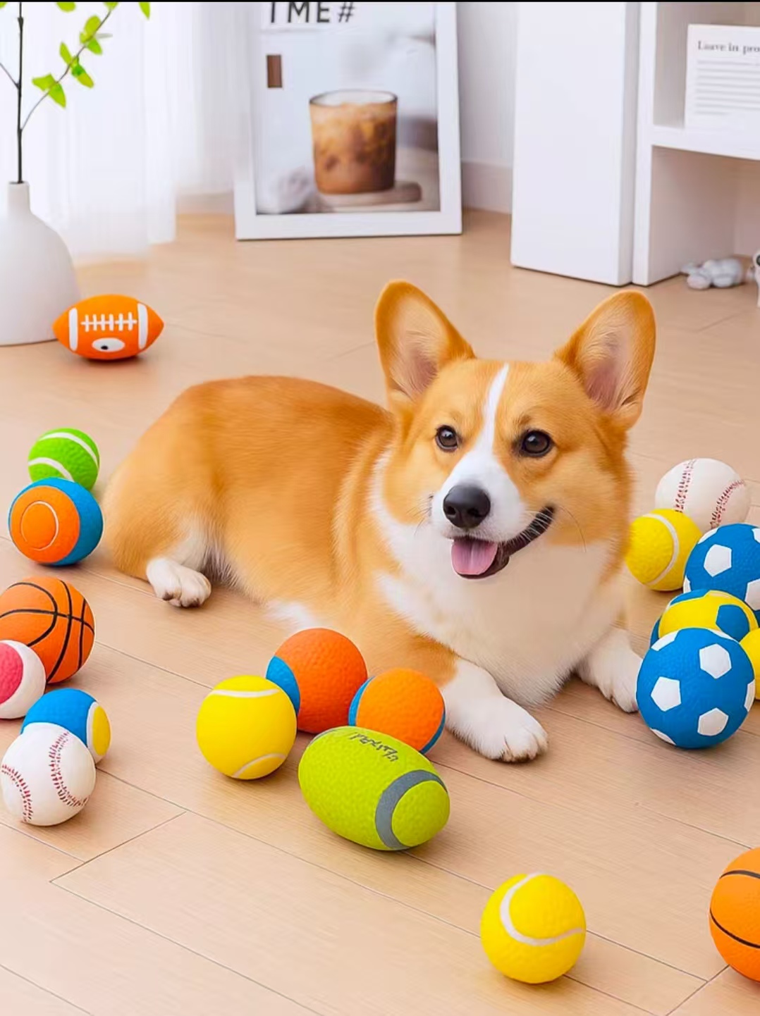 狗狗玩具