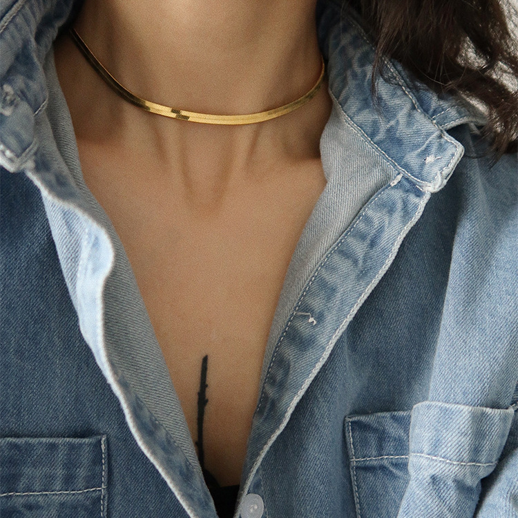 european and american double-layer stacked snake bones chain necklace women's light luxury high-grade personality hot girl all-match blade clavicle chain choker Application Scenario