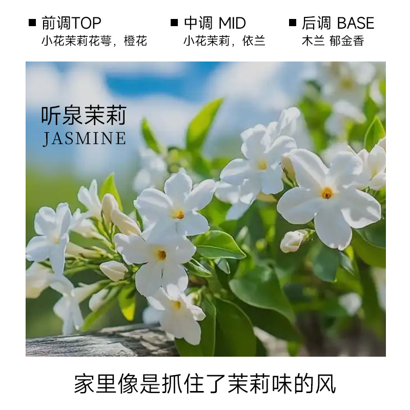 all-season zen tea aromatherapy hotel fragrance decoration household bedroom long-lasting perfume toilet reed diffuser essential oil Item Picture