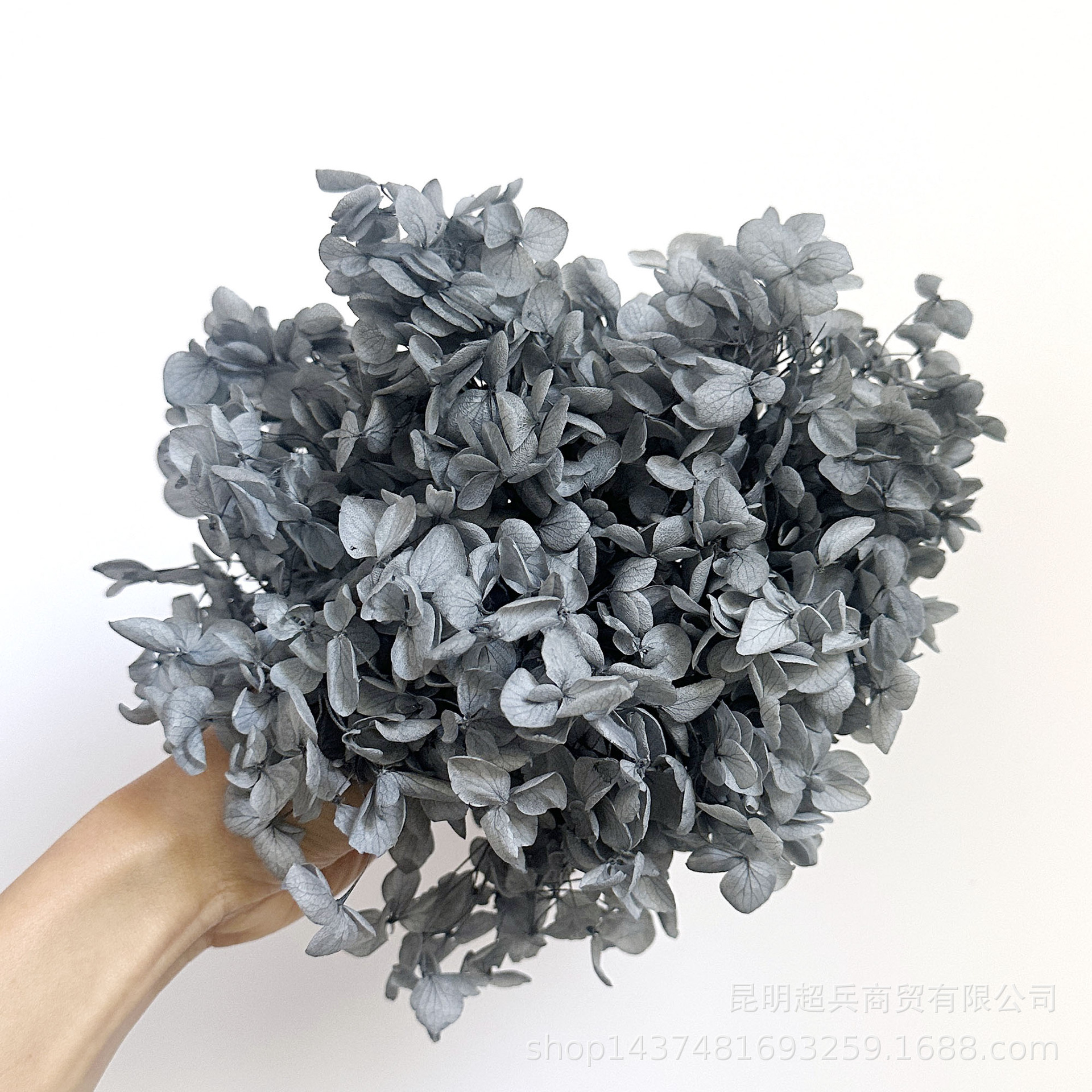 [preserved fresh flower hydrangea] anna gradient color lobular hydrangea flowers wholesale diy flowers flower box accessories Application Scenario