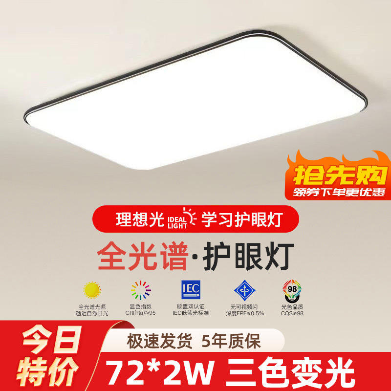 2025 new led ceiling lamp room bedroom light lamp in the living room hall modern minimalist and magnificent zhongshan lamps full figure