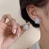925 silver needle fireworks stud earrings for women special interest light luxury 2025 new hot high-grade earrings graceful earrings details Picture