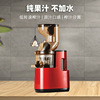 cross-border home juice extractor vegetable cutting multifunctional fruit machine large diameter automatic electric slag juice separation juicer details Picture