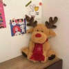 korean style ins new internet celebrity christmas deer plush toy cute cartoon elk ragdoll doll gift for women full figure