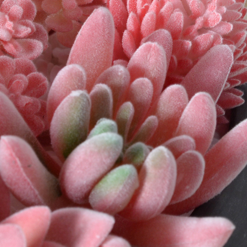red flocking artificial succulent pant green plant home decoration mini ornaments combination artificial bonsai details Picture