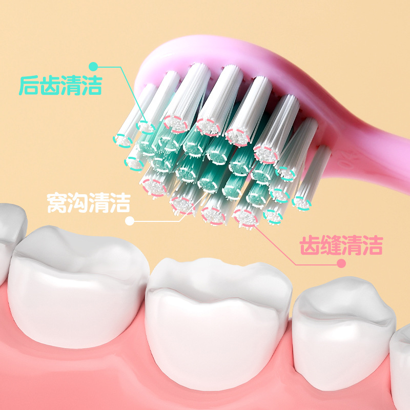 hierarchical tooth protection antibacterial children's toothbrush 2 pcs 0-3-6-9 years old infants baby soft-bristle toothbrush factory wholesale Application Scenario
