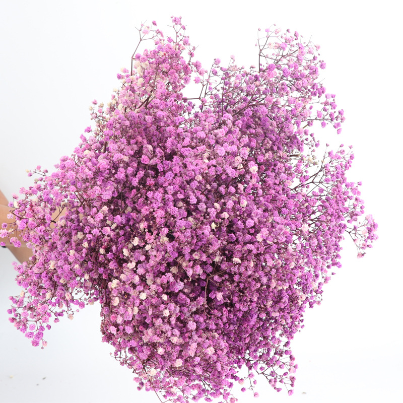 starry sky preserved fresh flower dried flower manufacturers starry sky valentine's day teacher's day gift decoration diy flower wholesale Item Picture