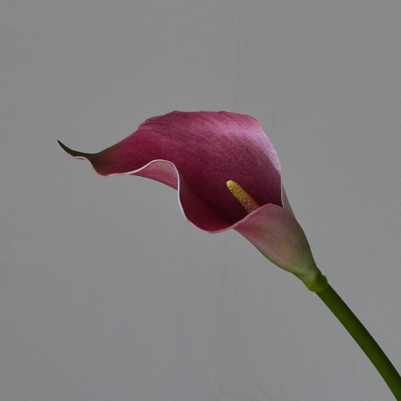 cross-border foreign trade wholesale artificial flower home decoration medium hand feeling common calla flower arrangement in living room and dining table fake flower photography Specification drawing