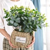popular eucalyptus zamioculcas leaves artificial flower cross-border supply wedding flower arrangement accessories greenery and fake flowers decoration wholesale Application Scenario