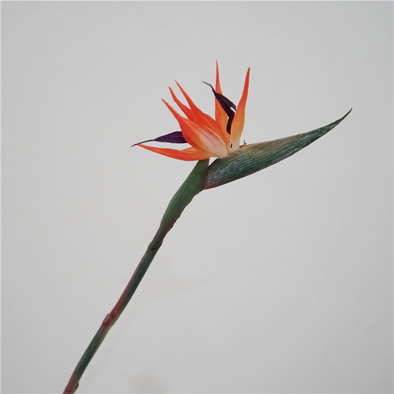bird of paradise high quality hand feeling artificial flower home decoration sample room decoration photography props plastic fake flower wholesale Application Scenario