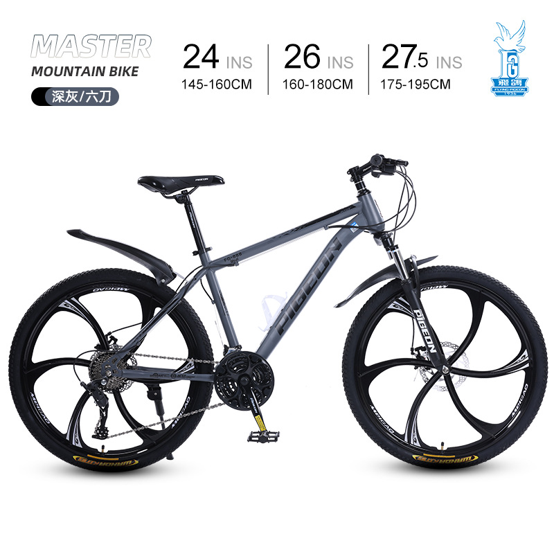 flying pigeon bicycle men's off-road variable speed mountain bike 24-inch outdoor sports riding road bike bicycle Application Scenario