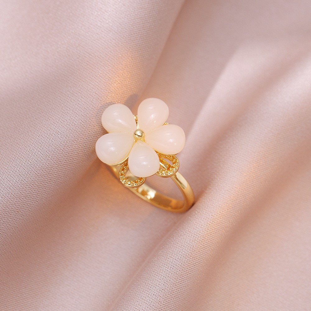 ring female micro-inlaid rotating zircon temperamental cold style fashion and fully-jewelled round geometric all-match fashion ring ornament Application Scenario