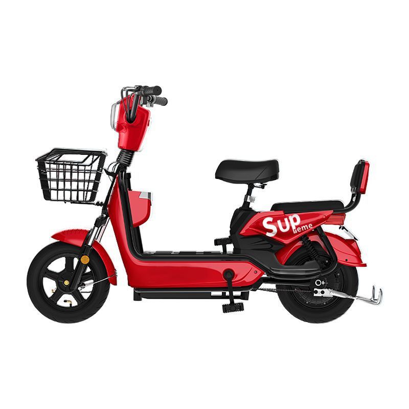 2025 new national standard can be branded electric bicycle battery car lithium battery walking golden eagle free shipping factory direct sales full figure
