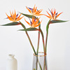 bird of paradise artificial flower home decorations arrangement potted high-end wedding bouquet small bird of paradise fake flowers Application Scenario