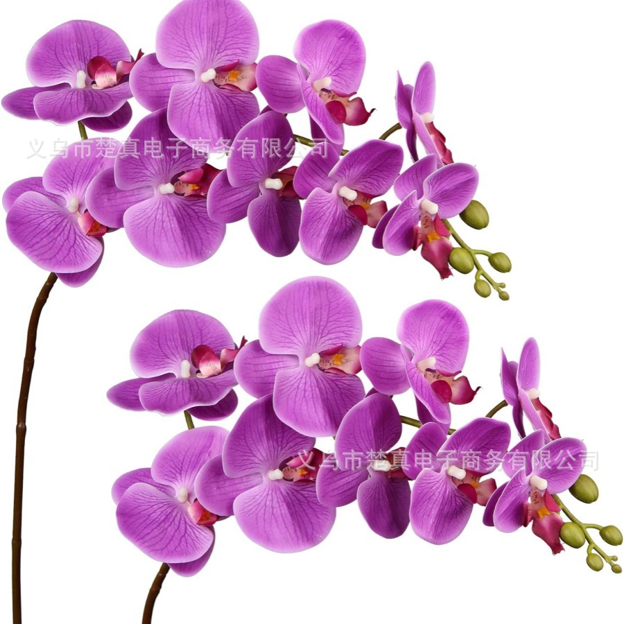 9-head 70cm phalaenopsis floral ornaments living room coffee table tv cabinet decoration fake flower decoration details Picture