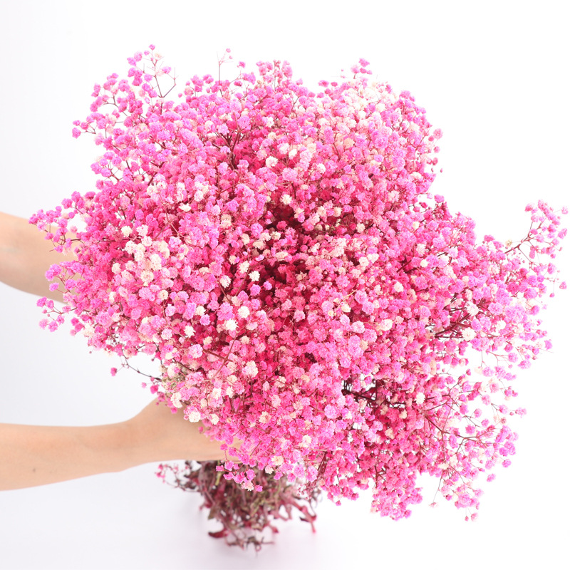starry sky preserved fresh flower dried flower manufacturers starry sky valentine's day teacher's day gift decoration diy flower wholesale full figure