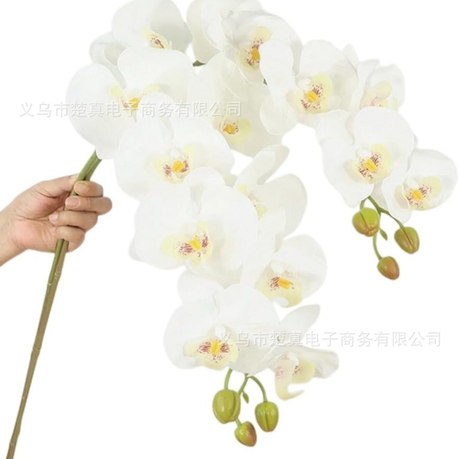 9-head 70cm phalaenopsis floral ornaments living room coffee table tv cabinet decoration fake flower decoration Specification drawing