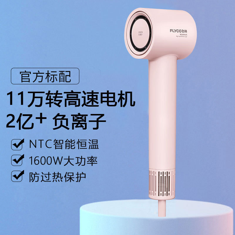flyco hair dryer household anion hair care quick-drying high power electric hair dryer high speed mute portable fh6370 full figure