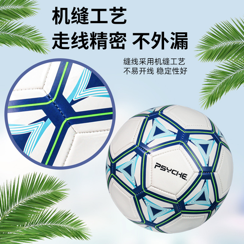 psyche cross-border machine seam pvc football no. 4 no. 5 adult youth wear-resistant explosion-proof tpu world cup football details Picture