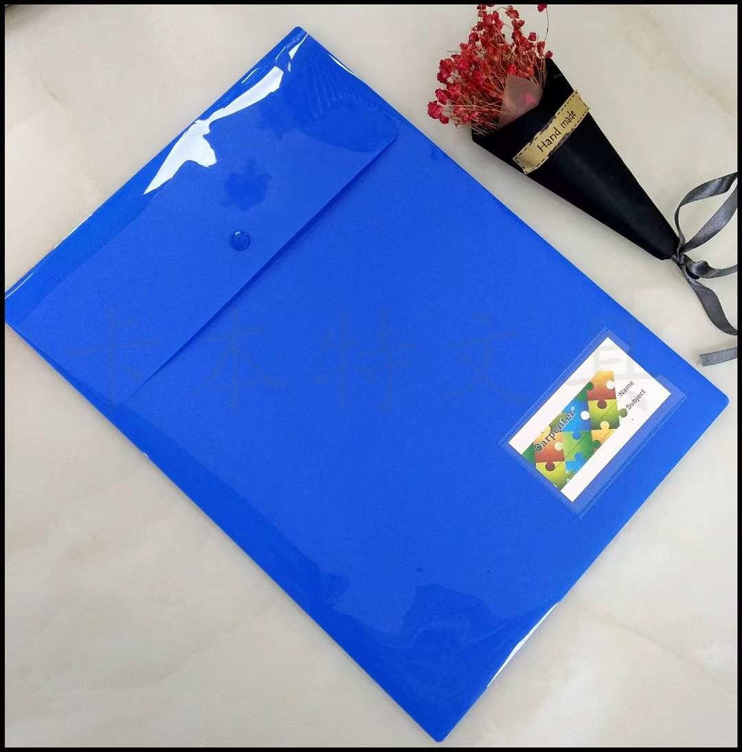 A4 solid color vertical button bag with business card details Picture