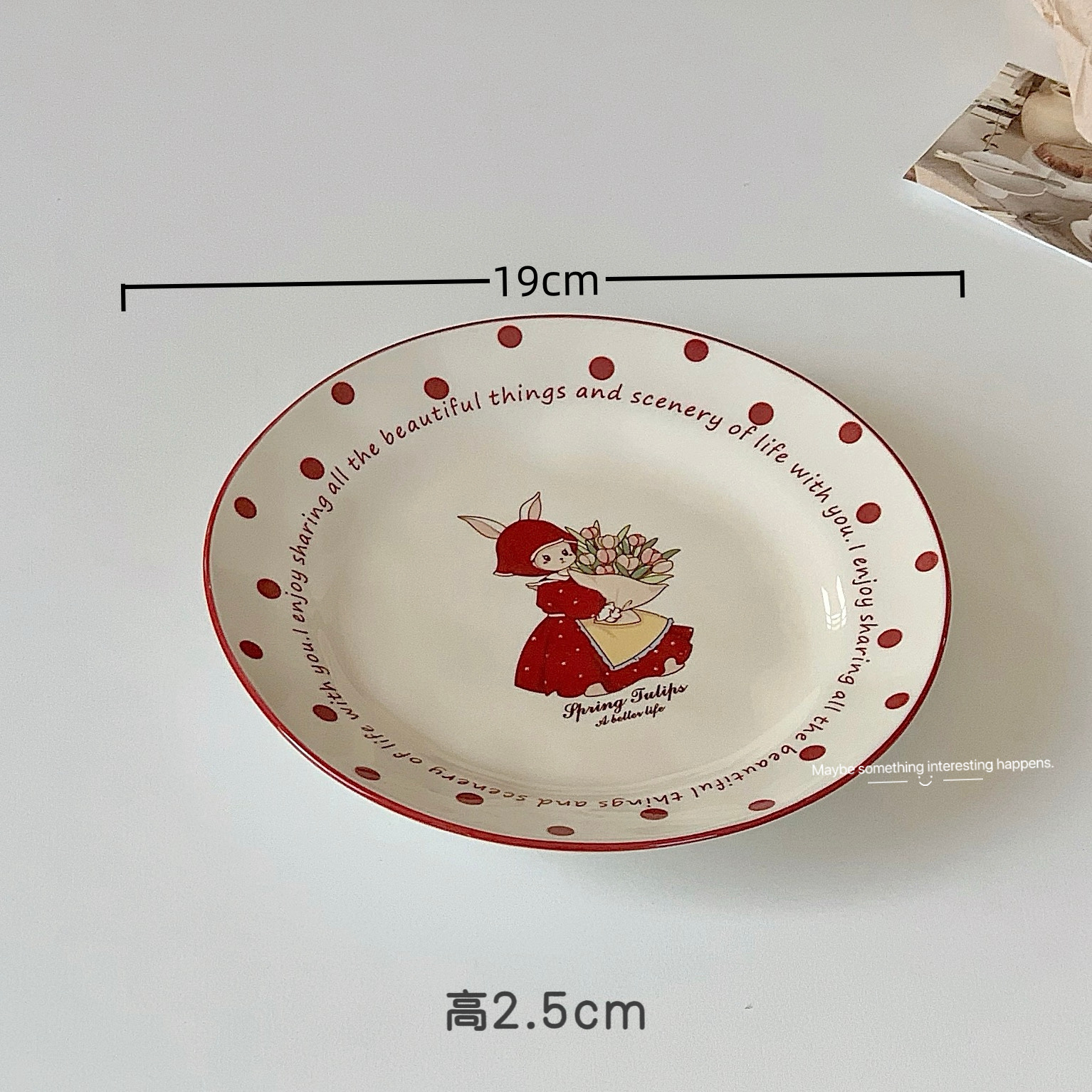 net red ceramic plate high-grade household dinner plate plate ins style good-looking plate salad dish fish dish soup plate details Picture