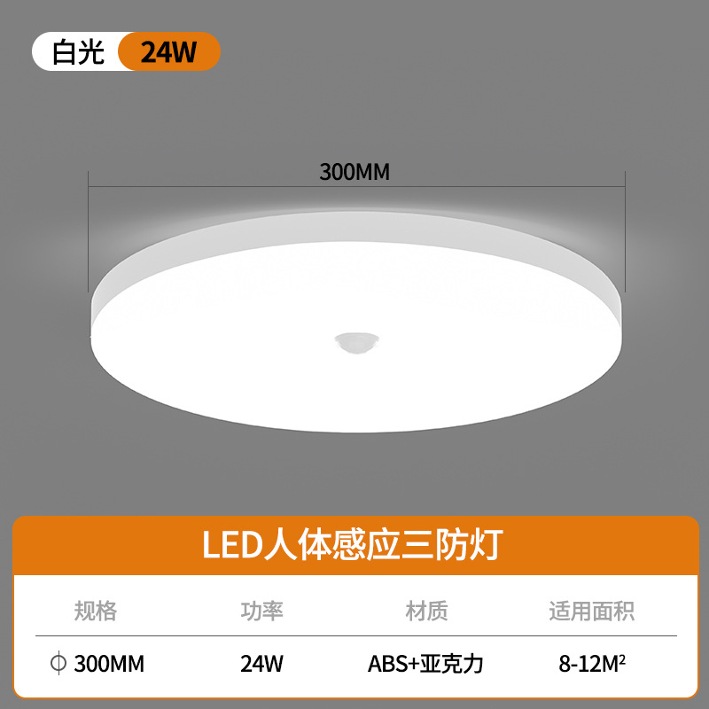 led inductive ceiling lamp voice-controlled corridor stairs aisle home entrance corridor automatic radar infrared sensor lamp Application Scenario
