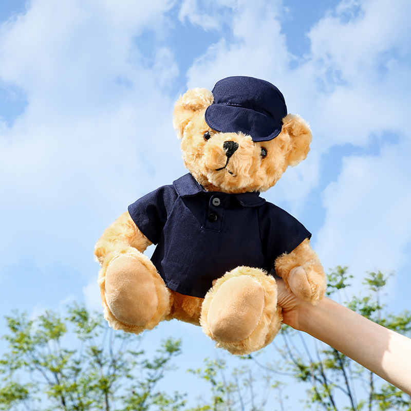 customized car logo bear doll teddy little bear plush toys plus logo change clothes doll company annual meeting gifts Specification drawing