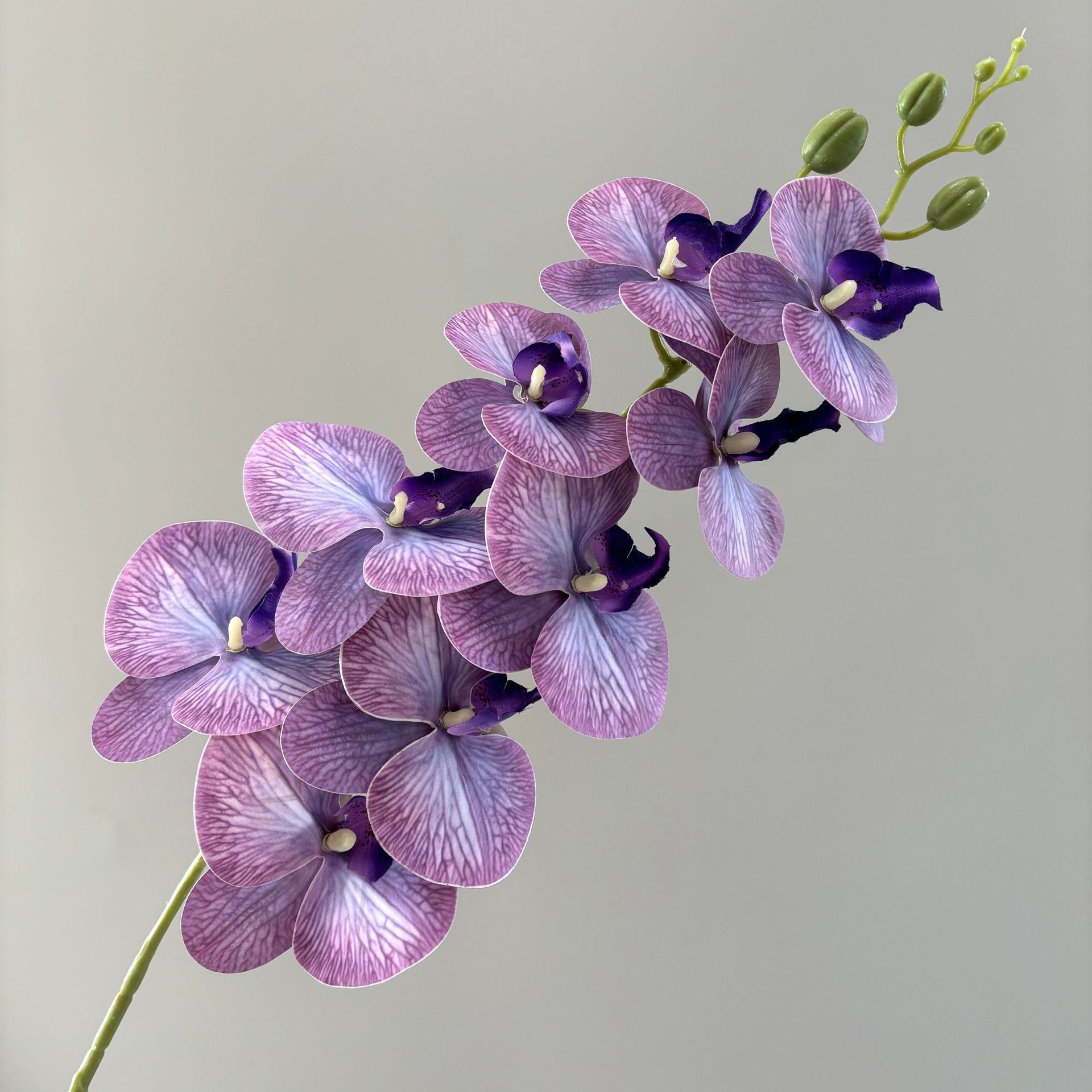 cross-border 3d printing 9-head phalaenopsis artificial flower home decoration realistic feel fake flower fake flower wedding flower arrangement Application Scenario