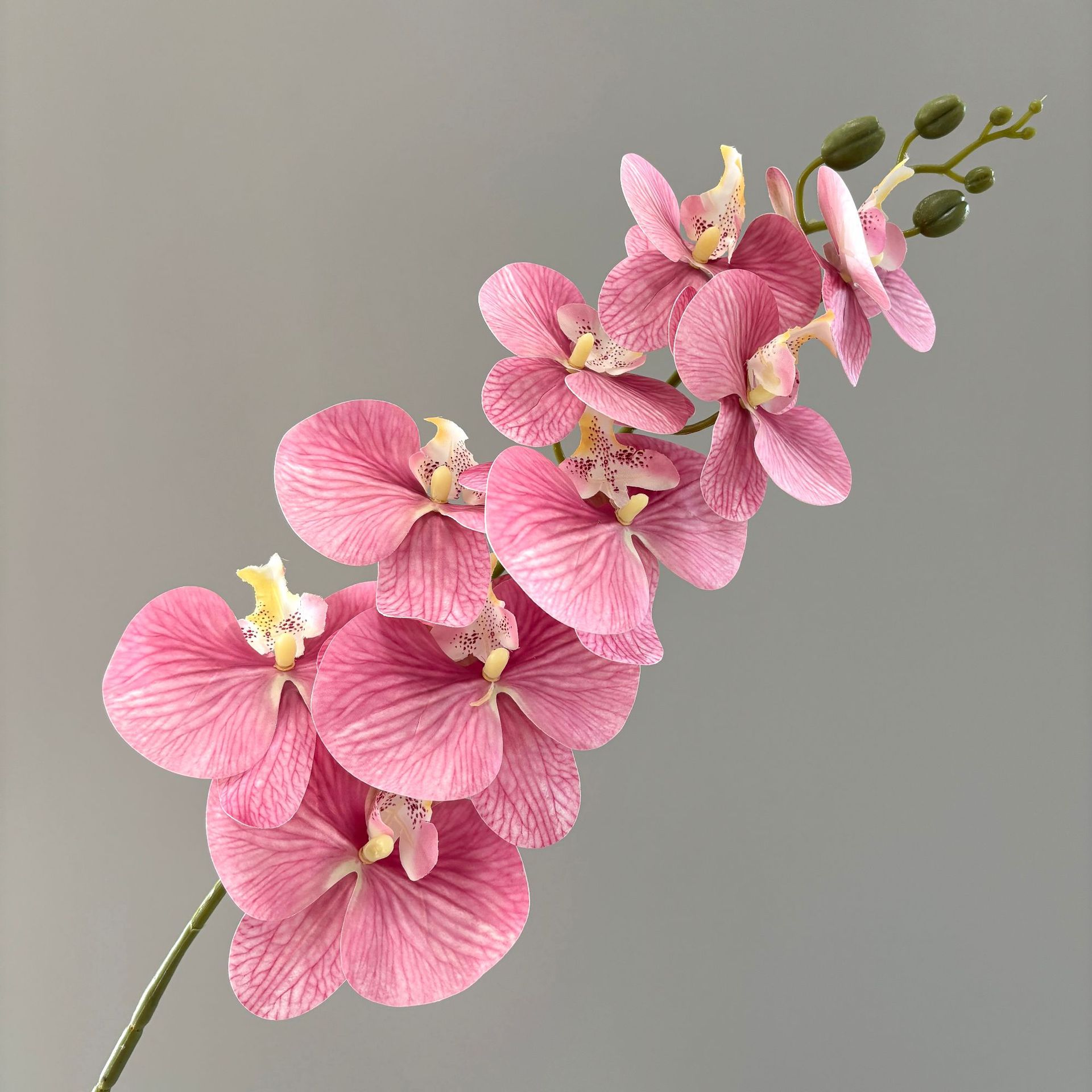 cross-border 3d printing 9-head phalaenopsis artificial flower home decoration realistic feel fake flower fake flower wedding flower arrangement full figure