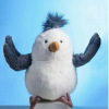 cute cute qipo seagull doll plush doll wearing sunglasses seagull plush toy get children's birthday gifts free Application Scenario