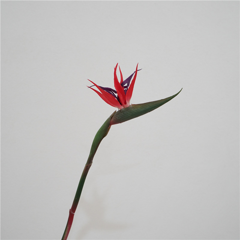 bird of paradise high quality hand feeling artificial flower home decoration sample room decoration photography props plastic fake flower wholesale full figure